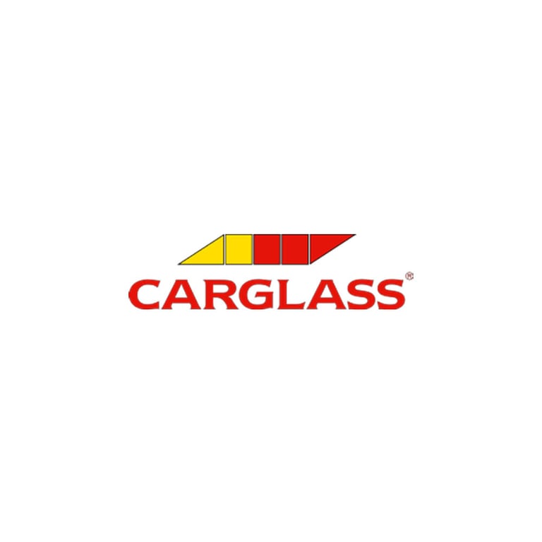 website_customer cases_Carglass_logo