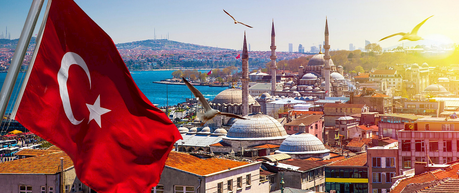 istanbul mosque turkey flag city