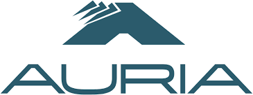 auria-solutions